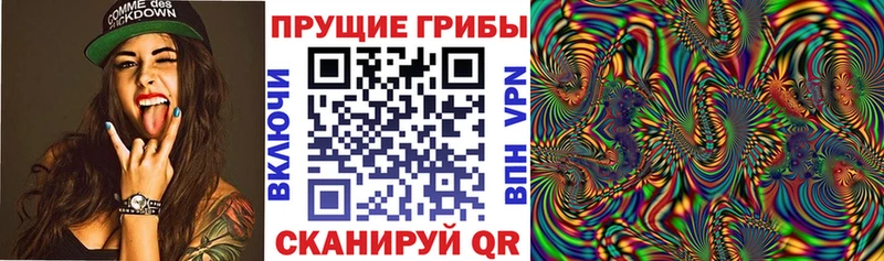 Псилоцибиновые грибы GOLDEN TEACHER  Алагир 